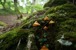 DSC04620.JPG